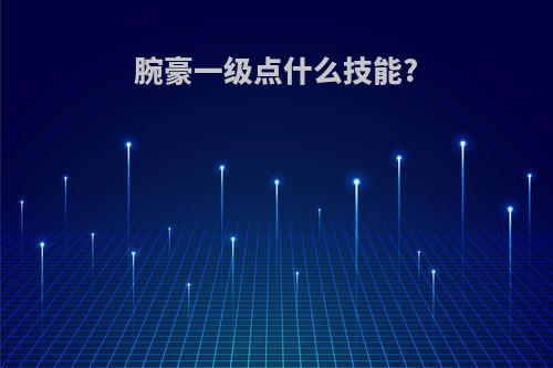 腕豪一级点什么技能?