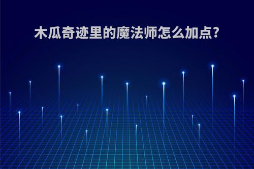 木瓜奇迹里的魔法师怎么加点?