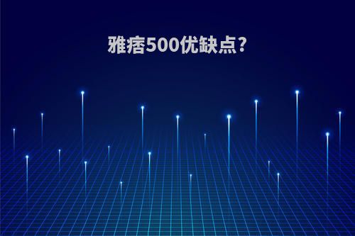 雅痞500优缺点?