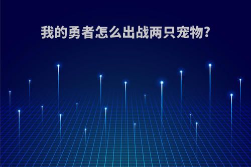 我的勇者怎么出战两只宠物?