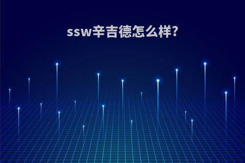 ssw辛吉德怎么样?