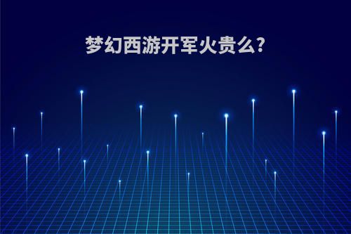 梦幻西游开军火贵么?