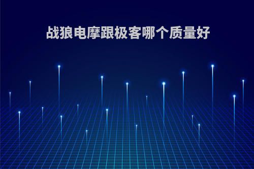 战狼电摩跟极客哪个质量好
