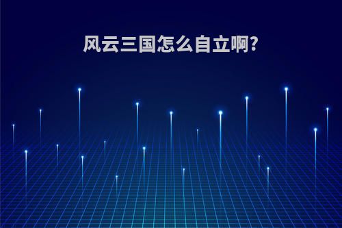 风云三国怎么自立啊?