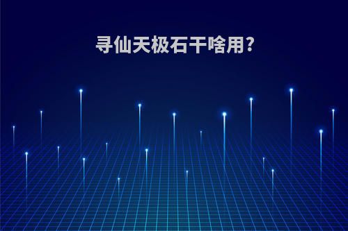 寻仙天极石干啥用?