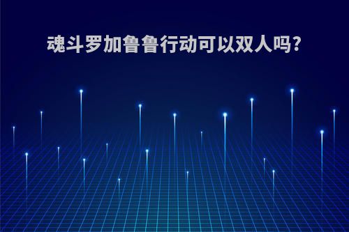 魂斗罗加鲁鲁行动可以双人吗?
