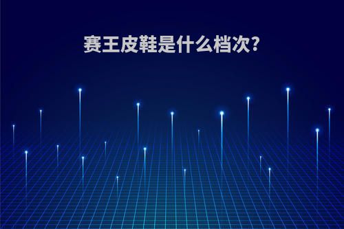 赛王皮鞋是什么档次?