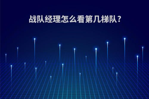 战队经理怎么看第几梯队?