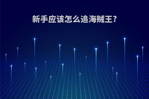 新手应该怎么追海贼王?