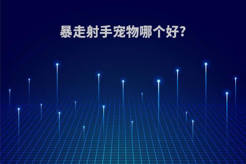暴走射手宠物哪个好?
