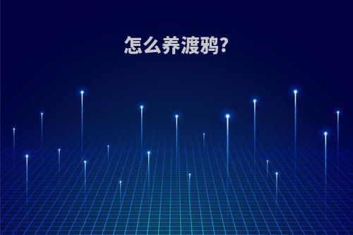 怎么养渡鸦?