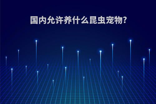 国内允许养什么昆虫宠物?