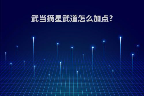 武当摘星武道怎么加点?