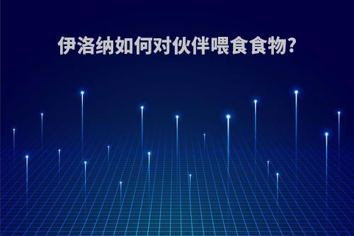 伊洛纳如何对伙伴喂食食物?