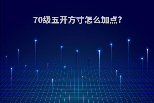 70级五开方寸怎么加点?