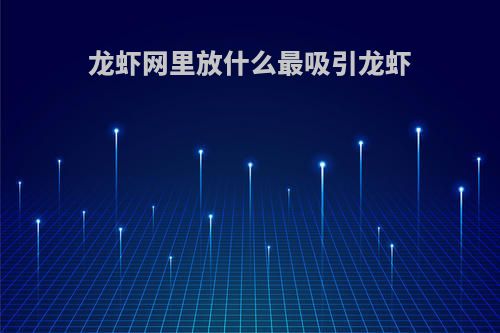 龙虾网里放什么最吸引龙虾