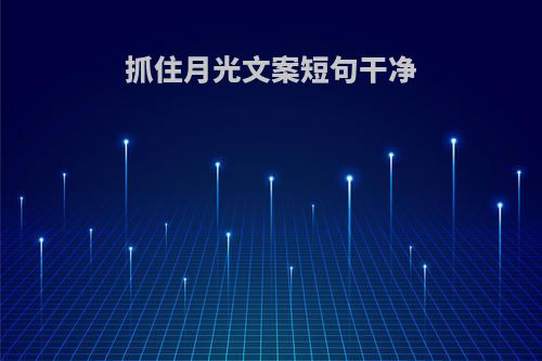 抓住月光文案短句干净