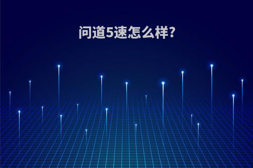 问道5速怎么样?