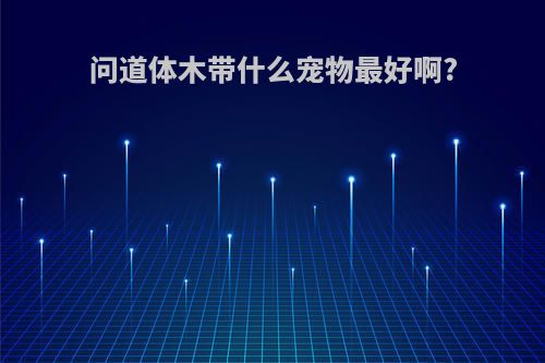 问道体木带什么宠物最好啊?