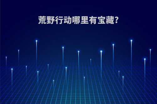 荒野行动哪里有宝藏?
