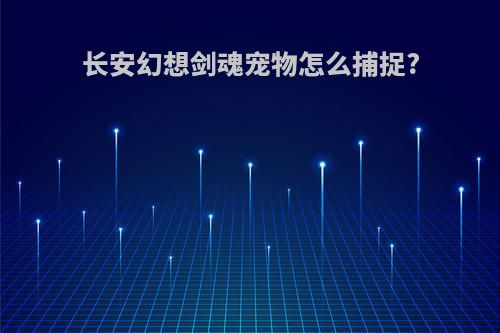 长安幻想剑魂宠物怎么捕捉?