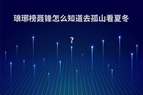 琅琊榜聂锋怎么知道去孤山看夏冬?