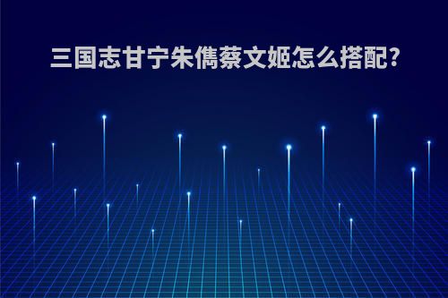 三国志甘宁朱儁蔡文姬怎么搭配?