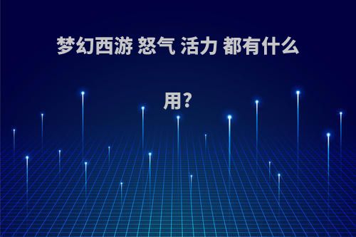 梦幻西游 怒气 活力 都有什么用?
