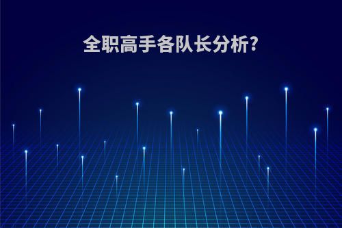 全职高手各队长分析?