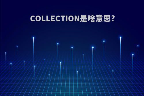 COLLECTION是啥意思?