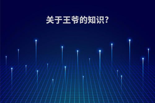 关于王爷的知识?
