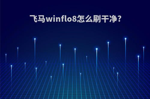 飞马winflo8怎么刷干净?