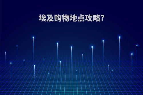 埃及购物地点攻略?