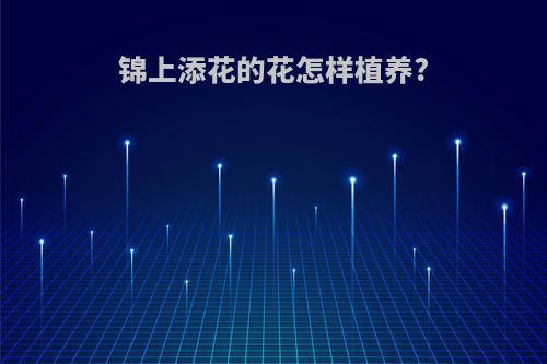 锦上添花的花怎样植养?
