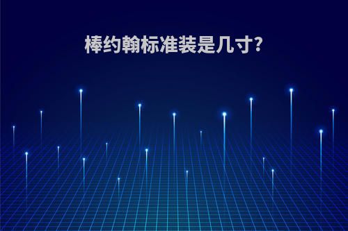 棒约翰标准装是几寸?