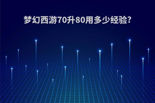 梦幻西游70升80用多少经验?