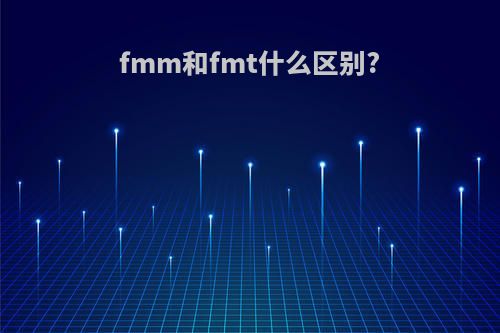 fmm和fmt什么区别?