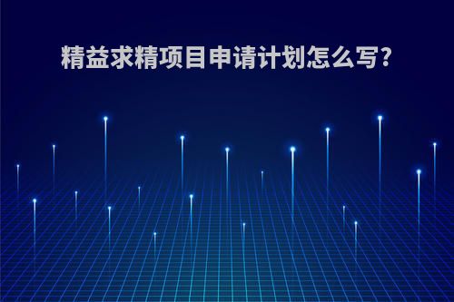 精益求精项目申请计划怎么写?