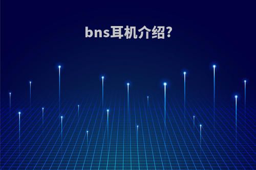 bns耳机介绍?