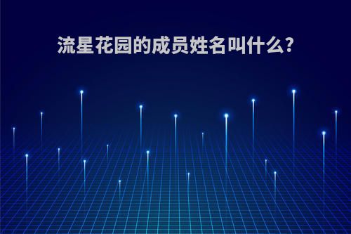 流星花园的成员姓名叫什么?