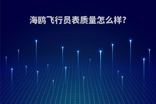 海鸥飞行员表质量怎么样?