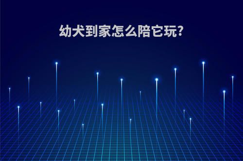 幼犬到家怎么陪它玩?