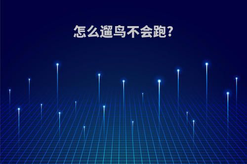 怎么遛鸟不会跑?