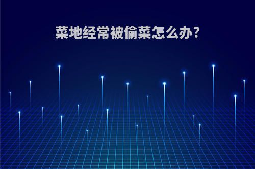 菜地经常被偷菜怎么办?
