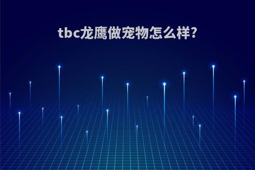 tbc龙鹰做宠物怎么样?