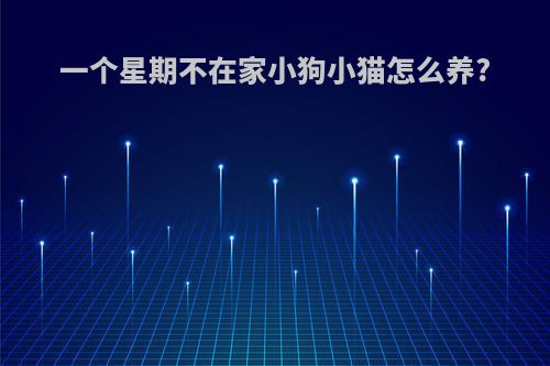 一个星期不在家小狗小猫怎么养?