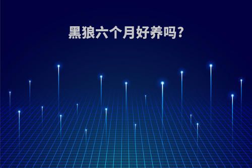 黑狼六个月好养吗?
