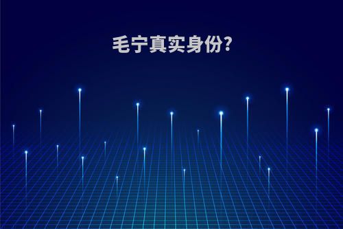 毛宁真实身份?