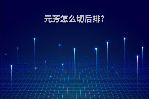 元芳怎么切后排?