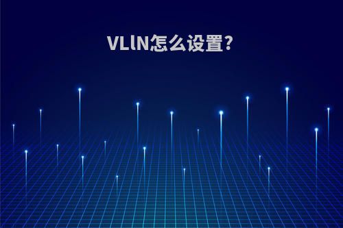 VLlN怎么设置?